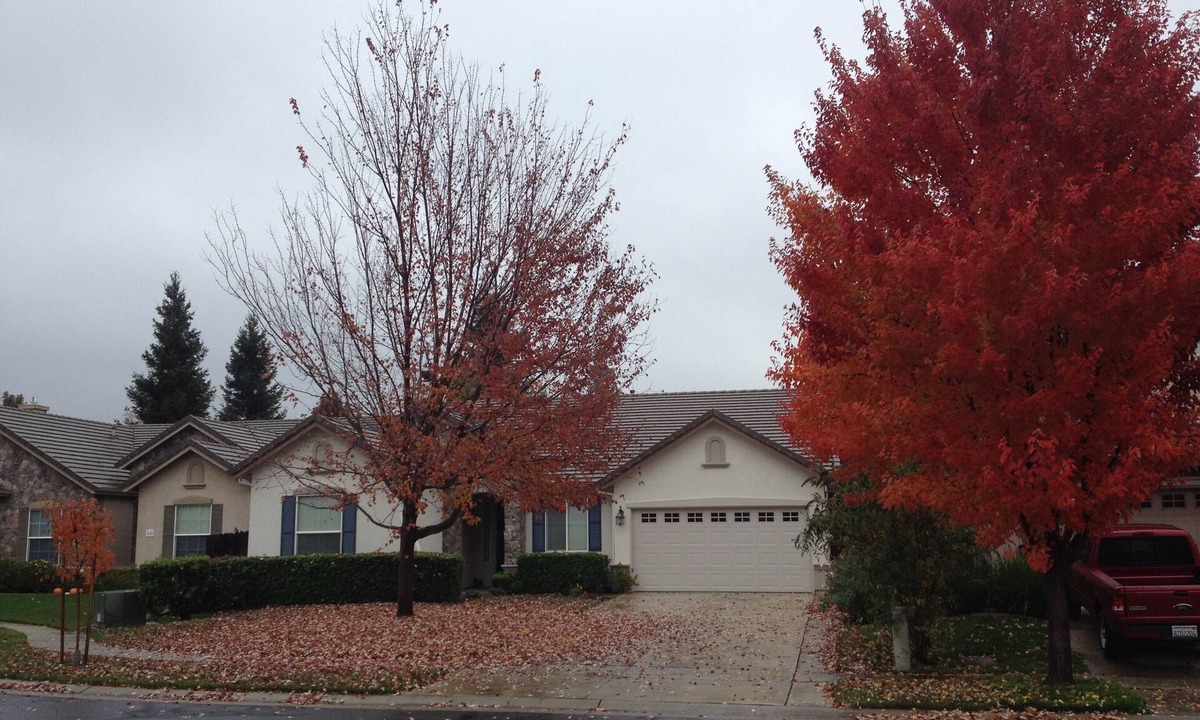 Willow Creek House | 4-bedroom house in enchanting Sacramento with AC
