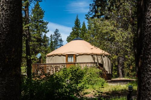 Three Rivers Resort | Bend-Sunriver Camping Resort 24 ft. Yurt 16