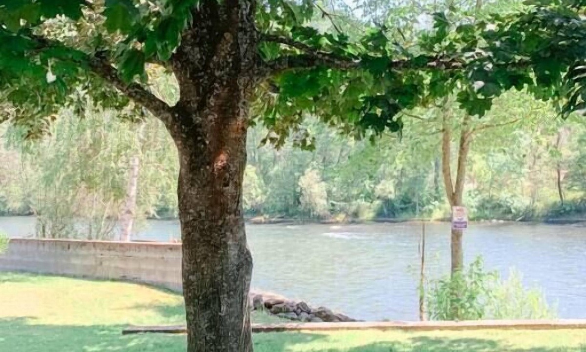 Trail House | Eagle's Nest Cottage. Spacious 2 BR river retreat on the Rogue River. Enjoy ping-pong, BBQ, board games, and fishing. Remote work enabled with high-speed WiFi. Unplug and unwind!