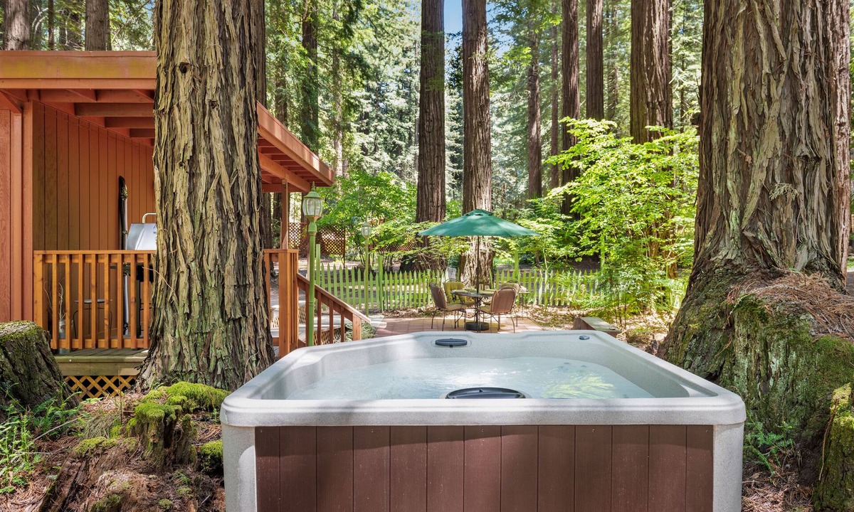Occidental Cabin | Joy Cottage ~ Monthly Stays Available at this Peaceful Retreat in Occidental