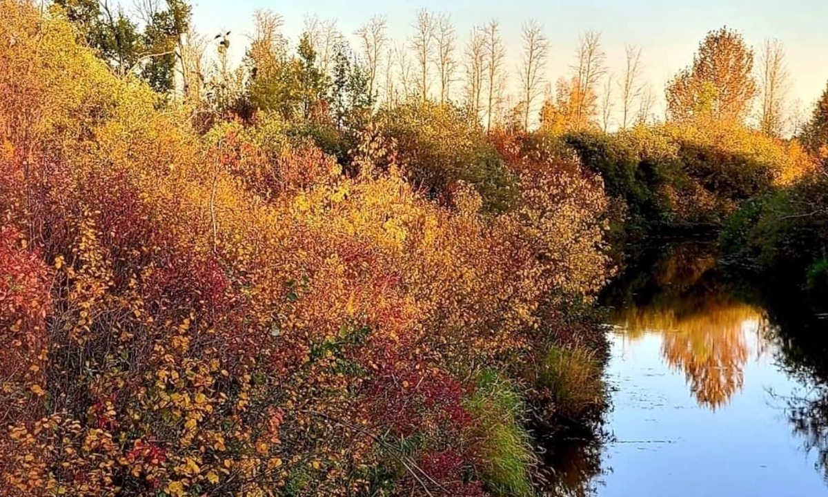 Legal Cottage | Riverside Acres