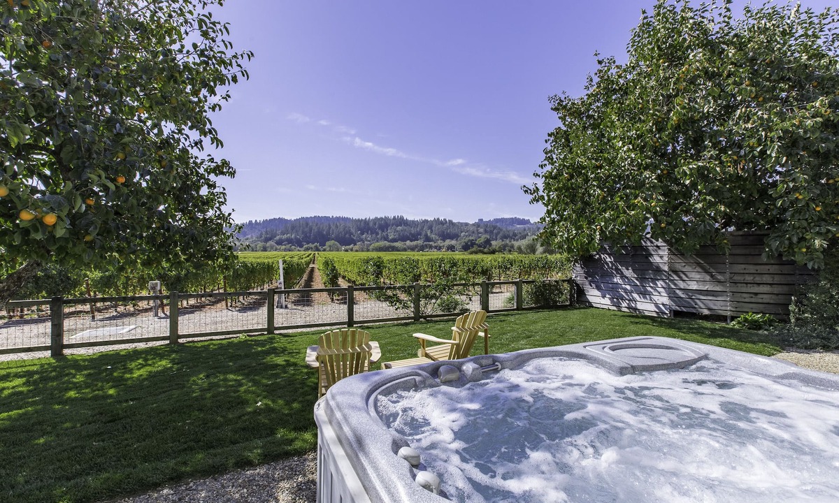 Healdsburg House | Spectacular Vineyard View! SPA, Close to Plaza!- 3br/2ba (up to 8 guests)