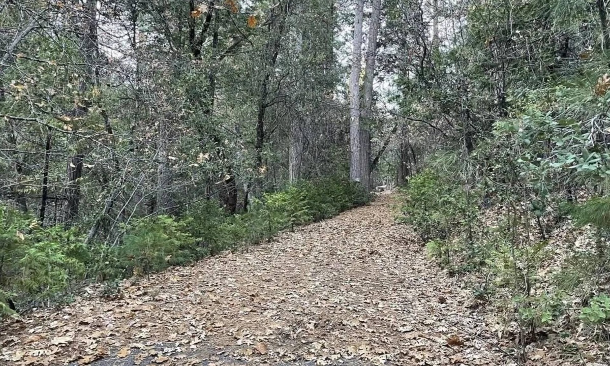 Sonora RV Rental | This campsite provides the ultimate outdoor experience!