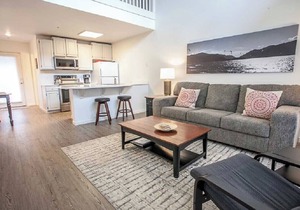 Light & Bright - 2 Bedrooms, 2 Bathrooms - Blocks from Downtown with River Views
