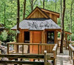The Treehouse Grove At Norton Creek 