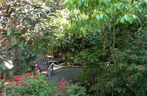East Little Havana House | Beautiful & Large Bedroom in B&B in Exquiste Tropical Home- Centrally located