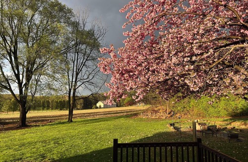 Menges Mills House | Charming 3-bedroom house with AC outside of Spring Grove in a peaceful area