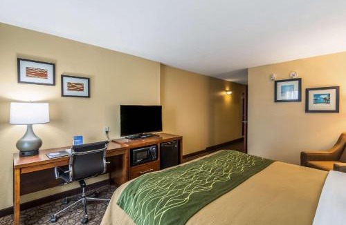 Panama City Hotel | Comfort Inn & Suites Panama City North