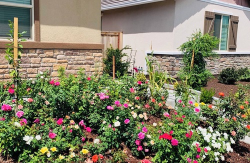 Antelope House | Cozy in law suite in Antelope with WiFi, AC, street parking, washer dryer