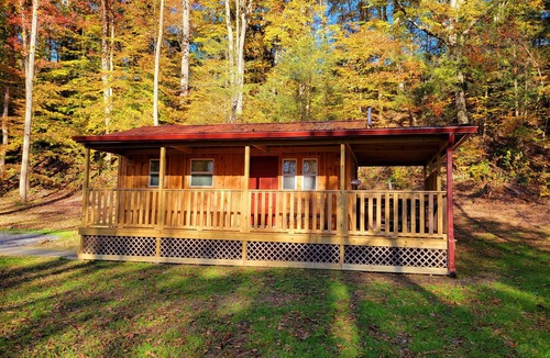 Cosby Cabin | Cuddling On The Creek Couples only romantic " TINY CABIN" retreat!