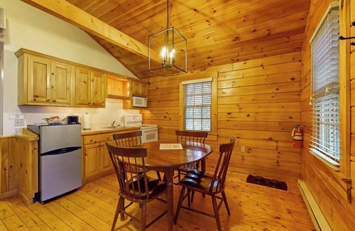 Northport Cabin | Dog-friendly cabin with wooded views, fireplace, AC near outdoor recreation