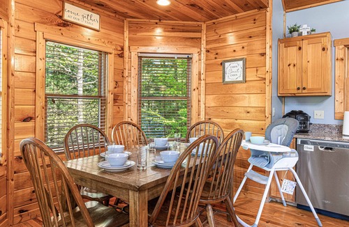 Cosby Cabin | EPIC Outdoor Area*Secluded*FirePit*HotTub*GameRoom