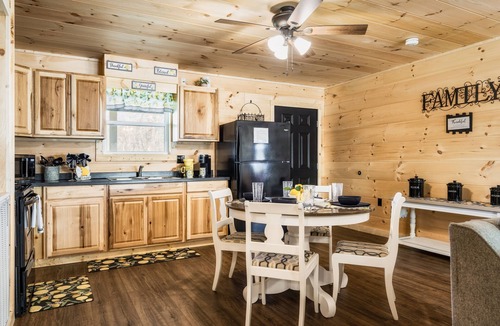 Cosby Cabin | Heavenly Daze! Mountain Getaway! NO CLEANING FEES!