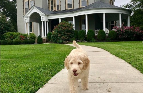 Riverton Apartment | Historic Suite with Ballroom for Rent on the Delaware River, 15 min to Philly