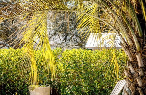 Grayton Beach House | Lazy Magnolia at Grayton 3b/3b private POOL! Outdoor cooking space!