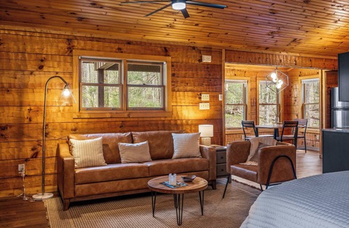Townsend Cabin | Mountain-Modern Cabin w/BIG Jet Tub