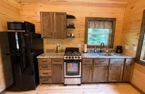 Munising Cabin | New Cozy Tiny Cabin Nestled in the Hiawatha National Forest