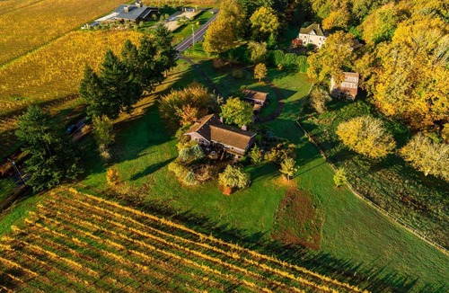Dundee House | Panoramic Vineyard Views, Pet Friendly, New Deck, Game Room, Ping Pong, Darts, Walk to Vineyards