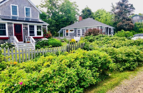 Pemaquid Point House | Pemaquid Point Cottage-Cliff Road-Fireplace-2 minute walk to Lighthouse-Pups ok