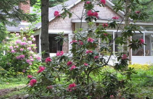 Hancock Point Cottage | Quiet cottage in the woods with private access to beach, shore views of Acadia.