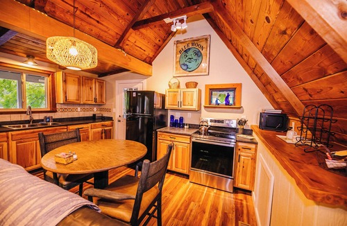 Draper House | Riverfront cabin near New River Trail, Claytor Lake, and Draper Mercantile. Screened porch.