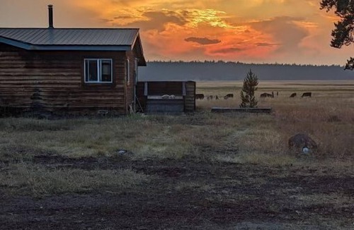 Klamath County House | Williamson River Ranch Fishing Eclipse Exclusive Views Book Reading