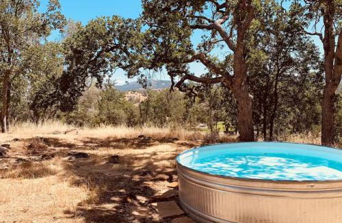 Coarsegold House | Yosemite Boho Bungalow, Pet Friendly & Mtn Views!