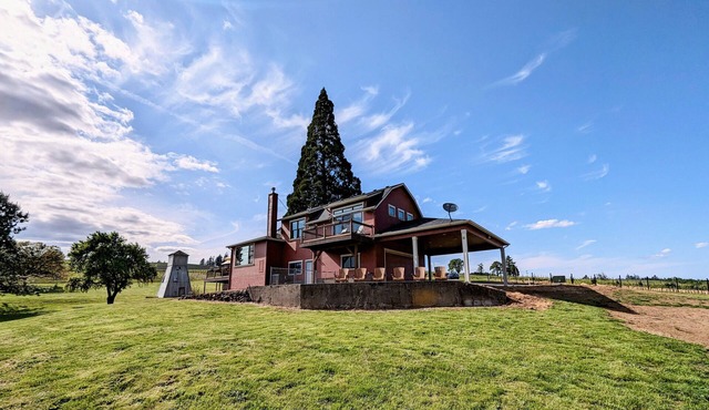 Bell Road Farmhouse - Surrounded by Chehalem Estate Vineyard!