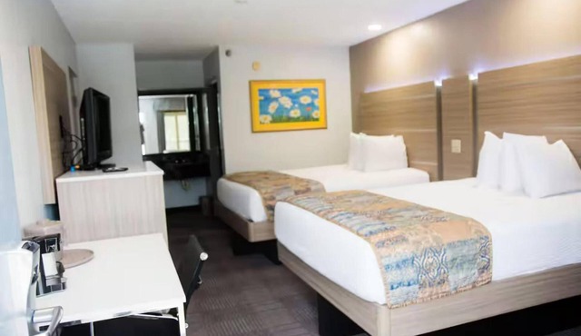 Calming Double Queen Bed Room | Near FWB Medical Center | Free On-Site Parking
