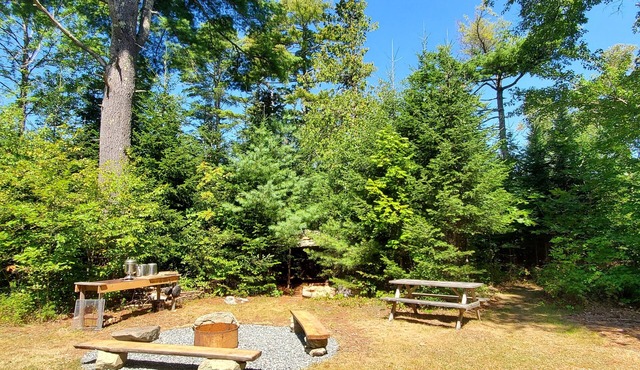 Chickadee Hollow: Rustic Eco Camping near Acadia National Park!
