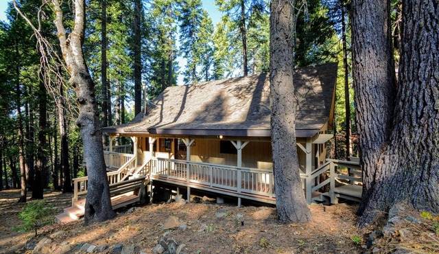 Close to Bear Valley Ski Resort, Big Trees State Park, Hiking trails, and Lakes.