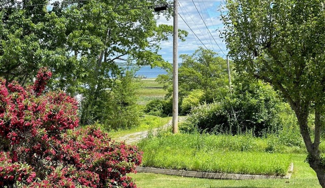 Coastal Retreat Near Beach w/Ocean Views, dog friendly !