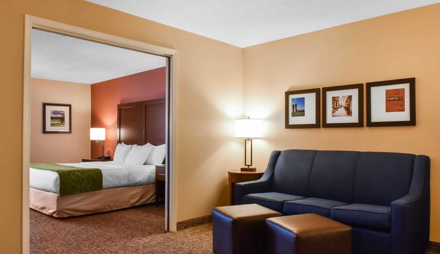 Comfort Suites Downtown Carlisle