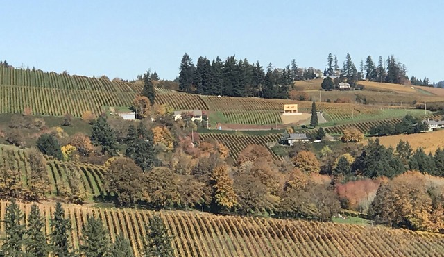 Dundee Hills. 3 Primary Suites! Exquisite Oregon Wine Country Experience