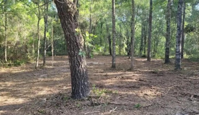 Fanning and Manatee Springs Exclusive Primitive Campground