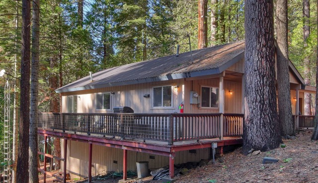 Hibernation Hideaway- Inside Yosemite- Dog Friendly!