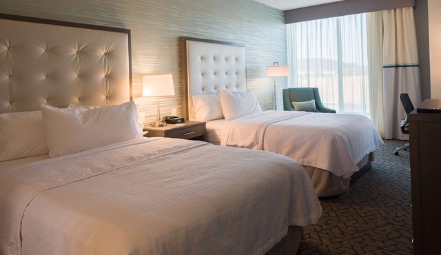 Homewood Suites by Hilton Allentown Bethlehem Center Valley