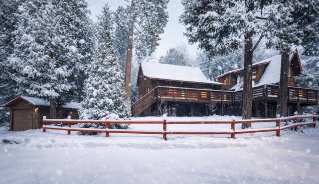 Idyllwild Retreat - Fire Pit, Views, Game Room