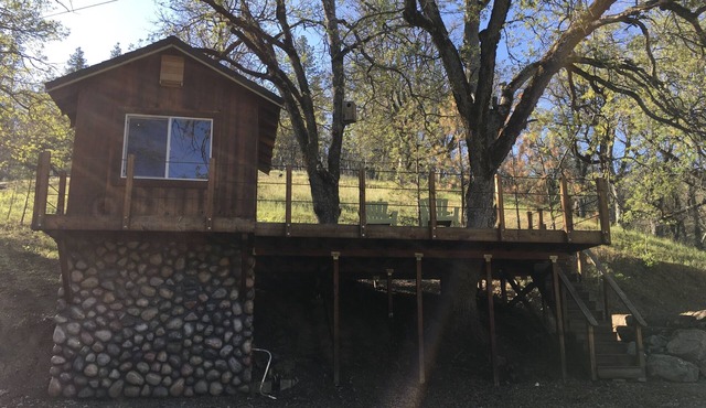 Klamath River Ca Treehouse in Klamath River