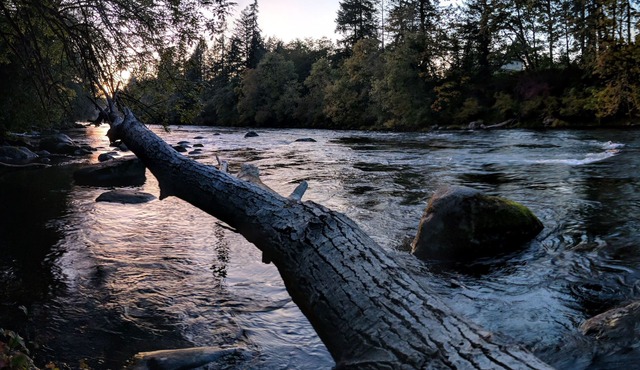 Large Family Friendly House on the Santiam River w/Hobbit Door!