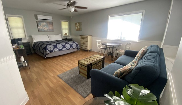 Large king guest room with private entrance and bathroom.