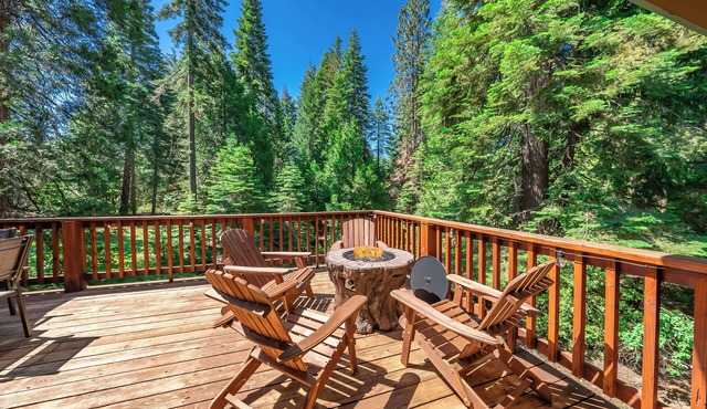 Modern Remodeled Spacious Cabin with A/C - Large Empty lot behind house