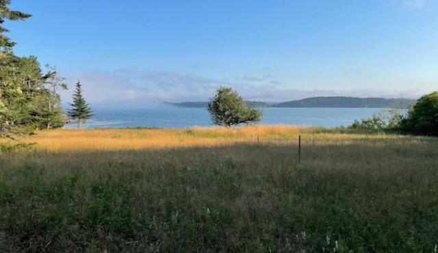 Oceanfront with Private Beach - Little Bay Retreat