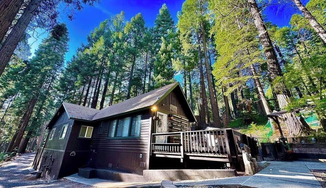 Serene Mountain Escape-Cozy Cabin Near Sly Park