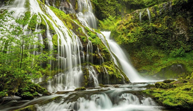 Spacious extended-stay hotel near Portland - Lake Oswego