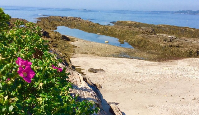 Spectacular 270 Degree View of Bustling Ocean Front