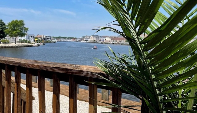 VIEWS, VIEWS, What a VIEW from this Stunning Waterfront Home.