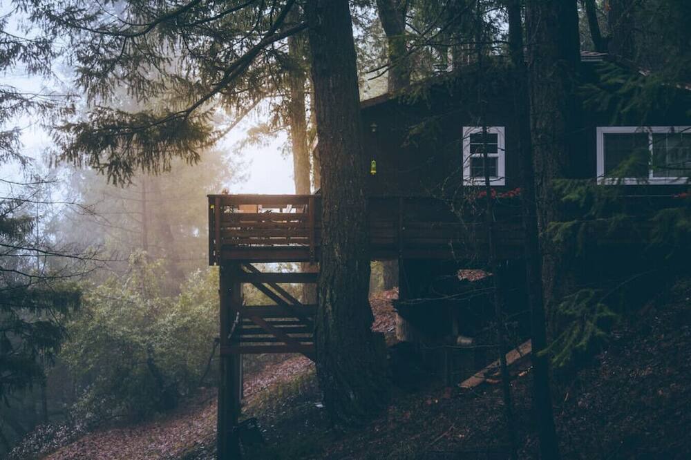 Photo of Others in Lakehead
