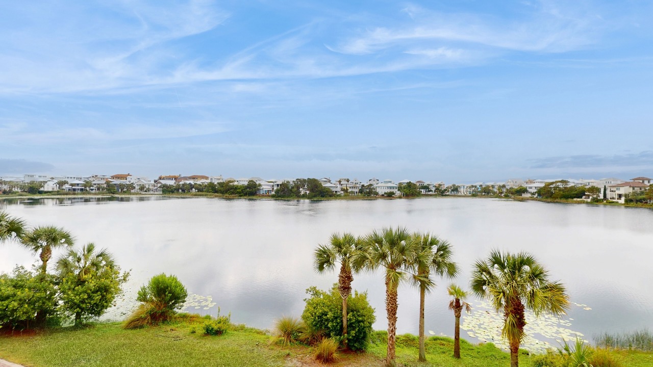 Photo of Outdoor in Sunnyside