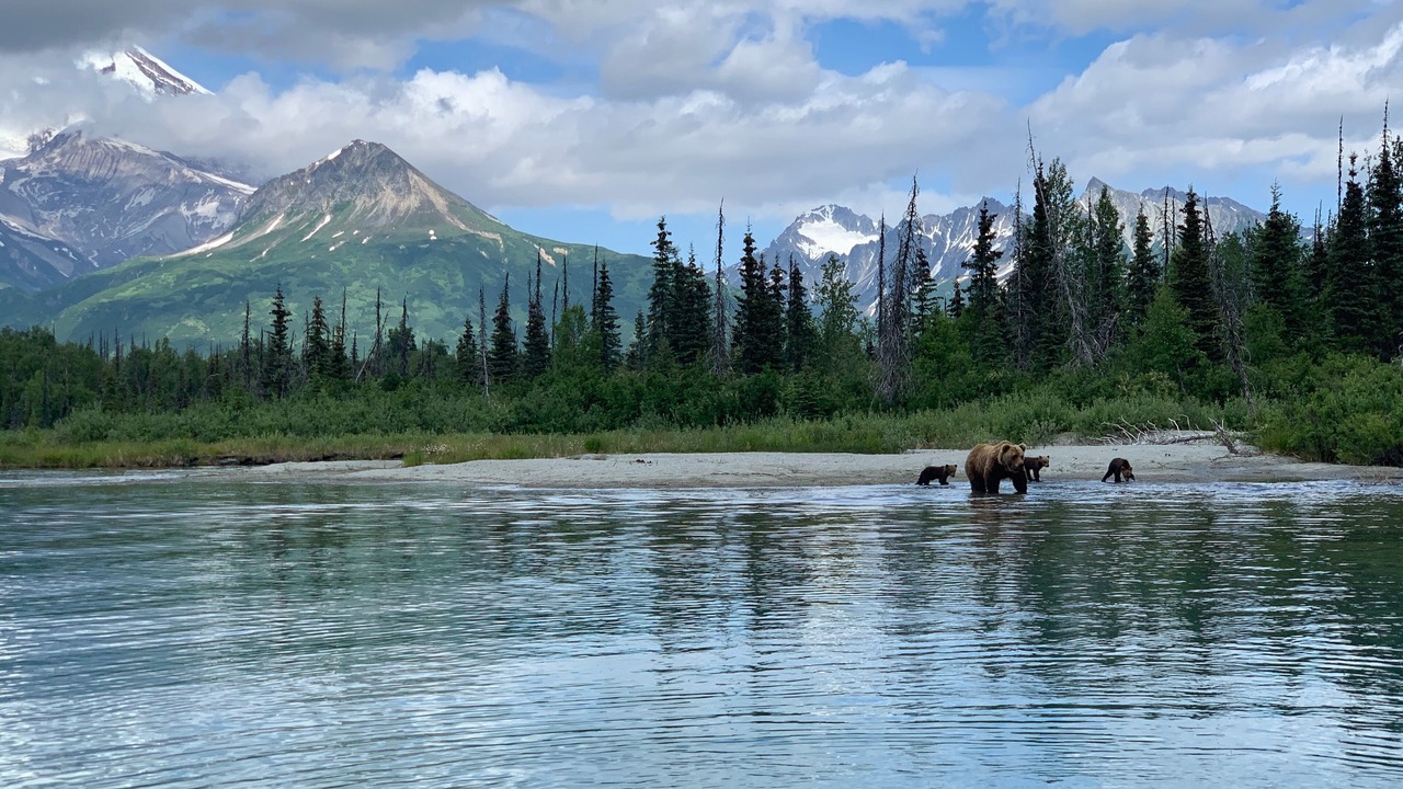 Photo of Outdoor in Homer